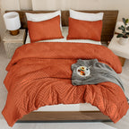 ANGENIA Comforter Set, 3 Pieces Fluffy Cream Boho Bedding Comforters Set, Soft Lightweight Tufted Down Alternative Bed Set for All Season