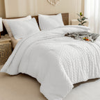 ANGENIA Comforter Set, 3 Pieces Fluffy Cream Boho Bedding Comforters Set, Soft Lightweight Tufted Down Alternative Bed Set for All Season